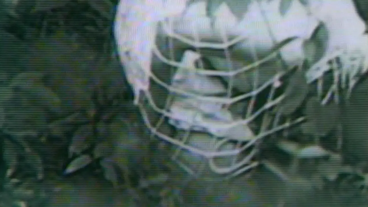 Guinea Pig: Devil's experiment fondo