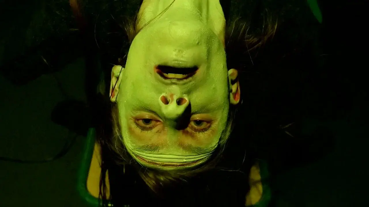 Frankenstein Created Robyn fondo
