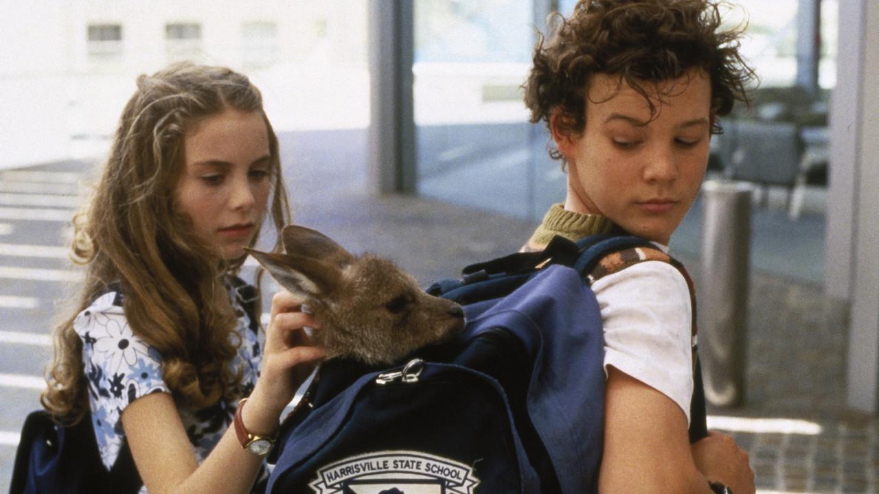 Joey, un canguro en la ciudad fondo