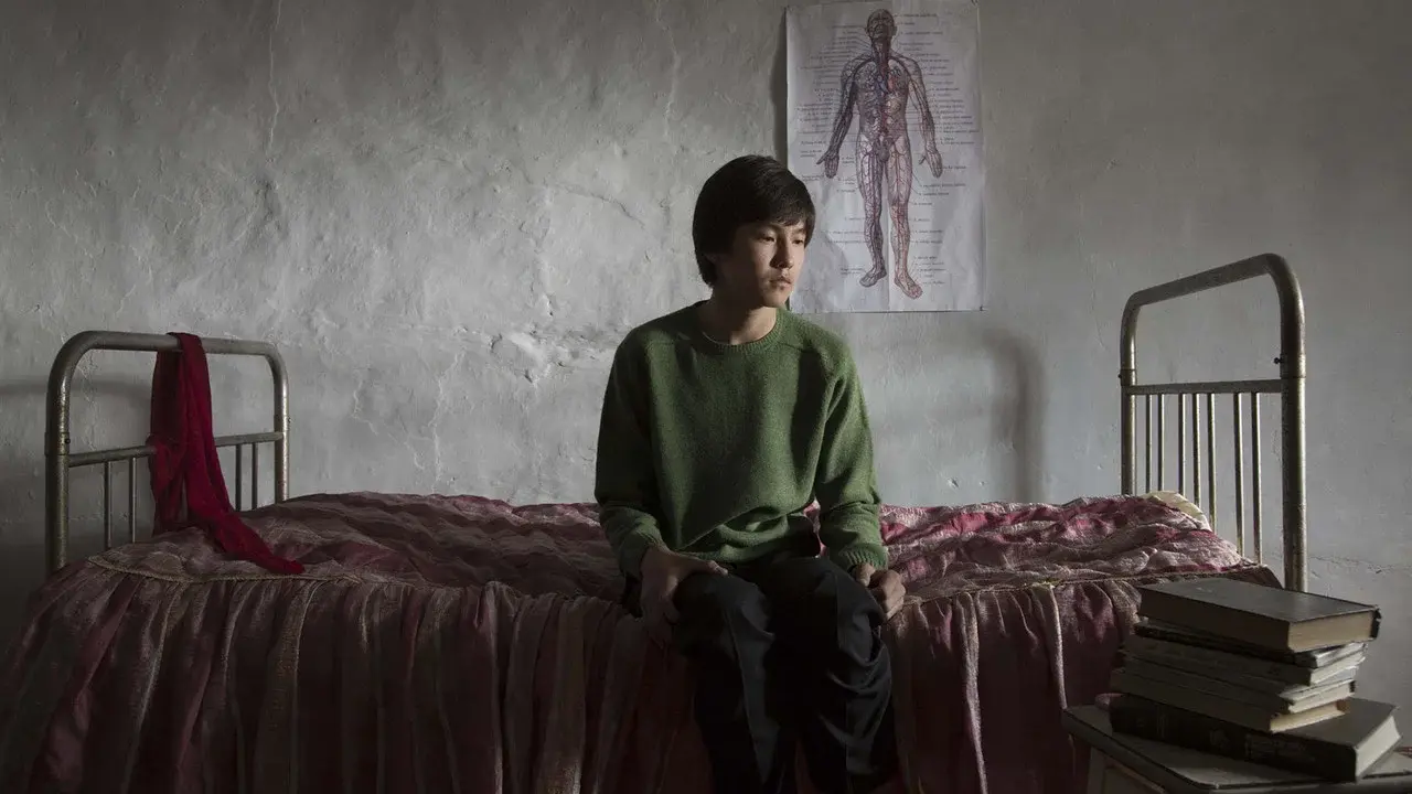 Жаралы періште fondo