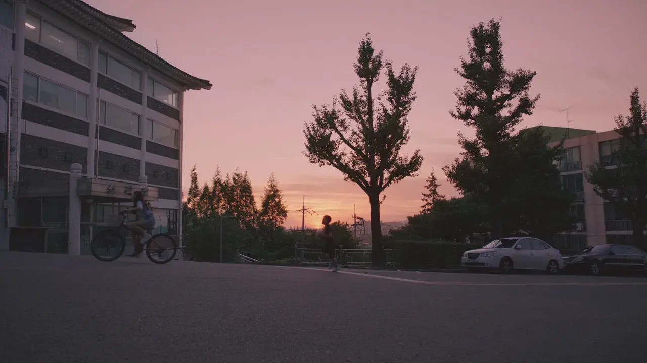 Hermanos en una noche de verano fondo