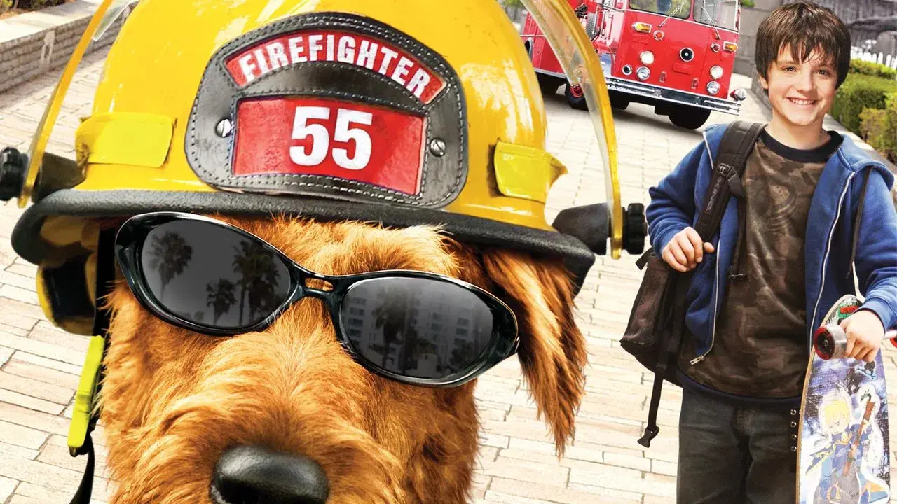 Perro al rescate fondo