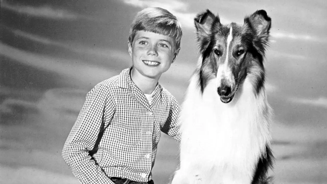 Lassie fondo