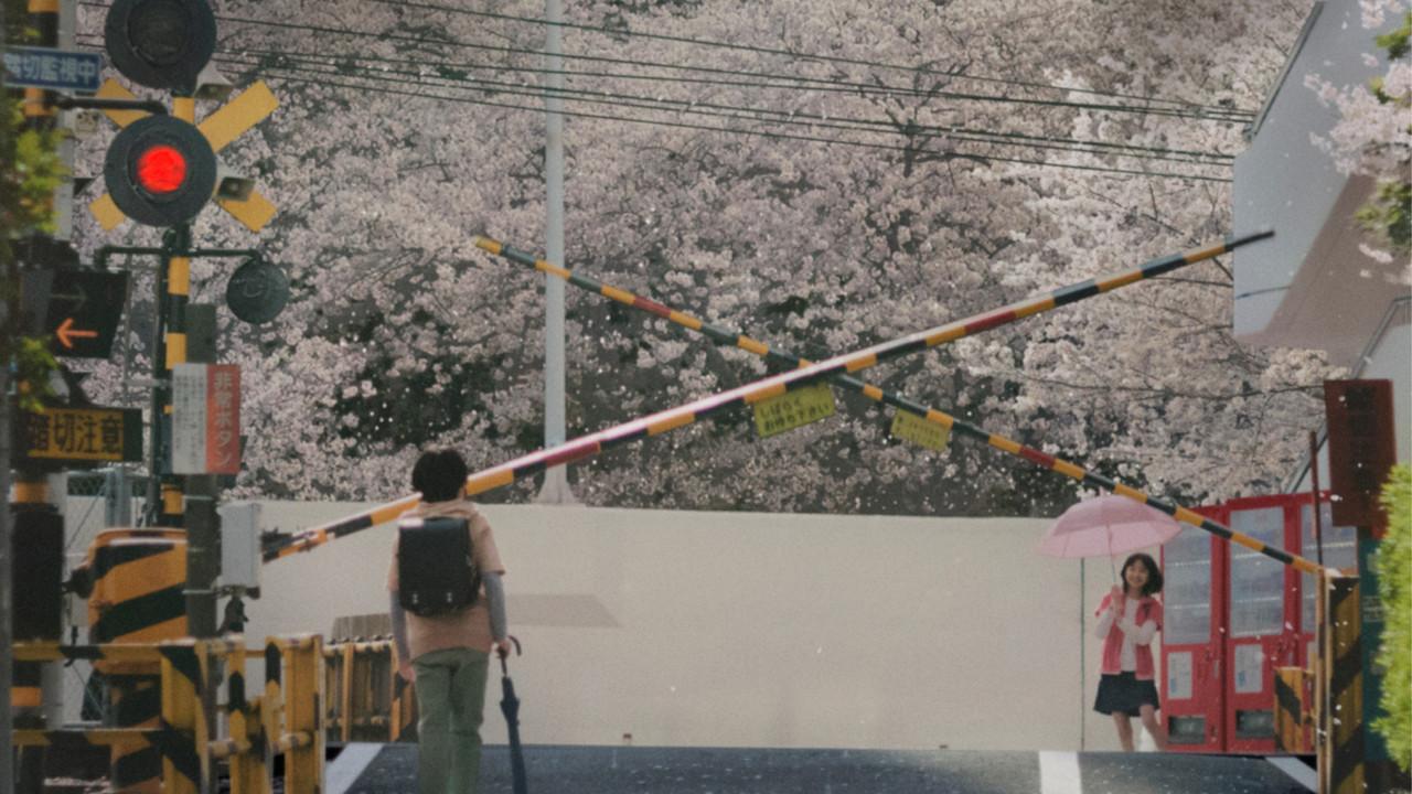 5 Centimeters per Second backdrop