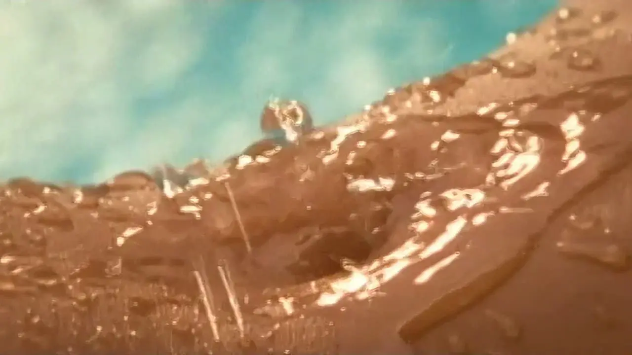 Playboy: Wet & Wild V fondo