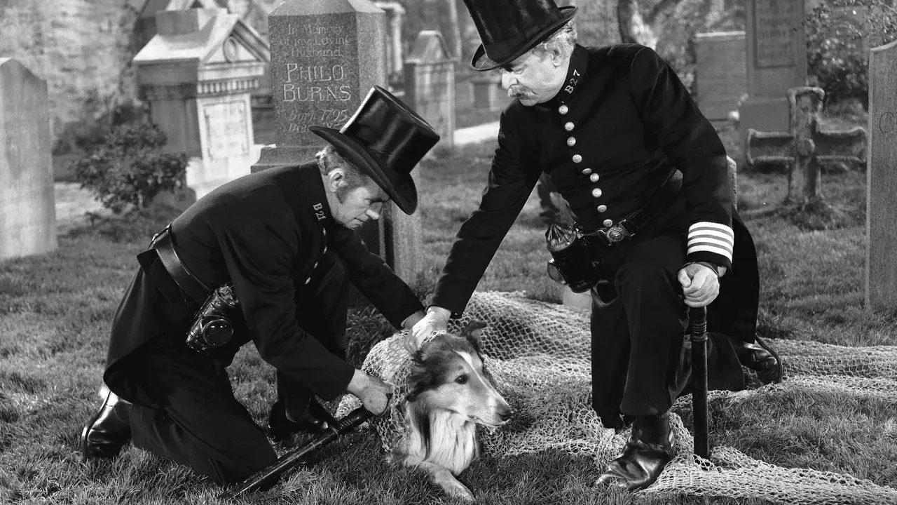 El desafío de Lassie fondo