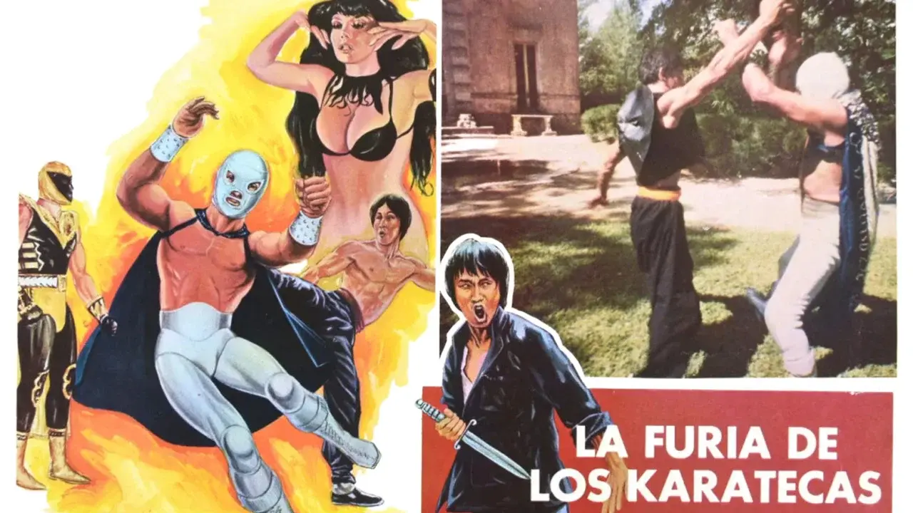 La furia de los karatecas fondo
