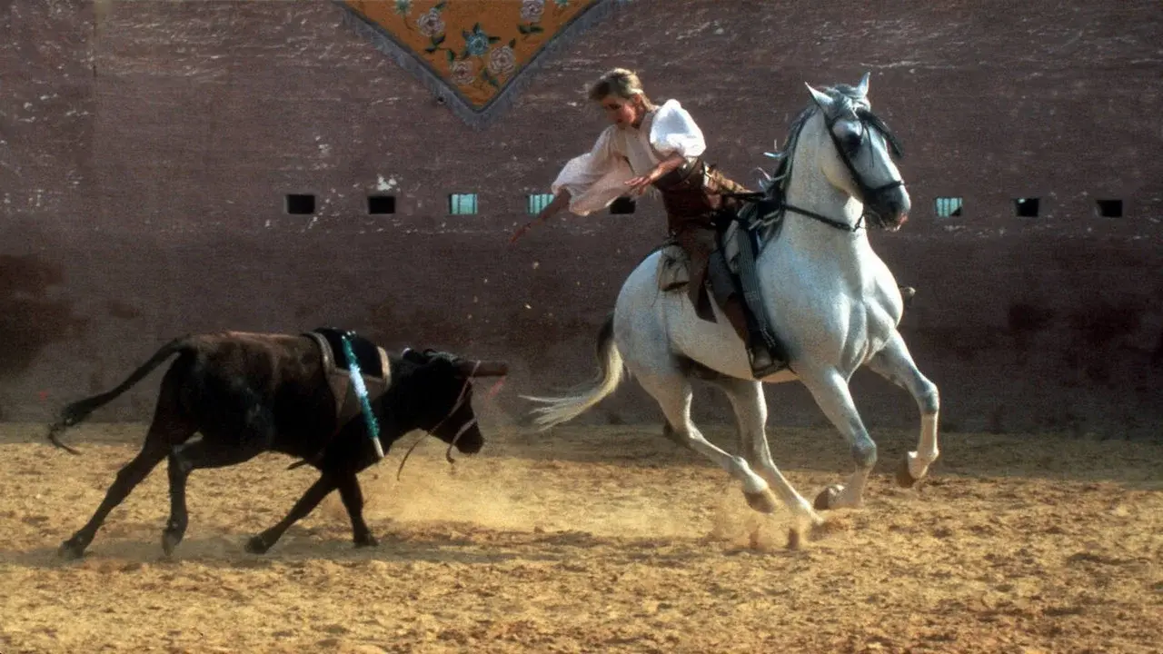 Bolero fondo