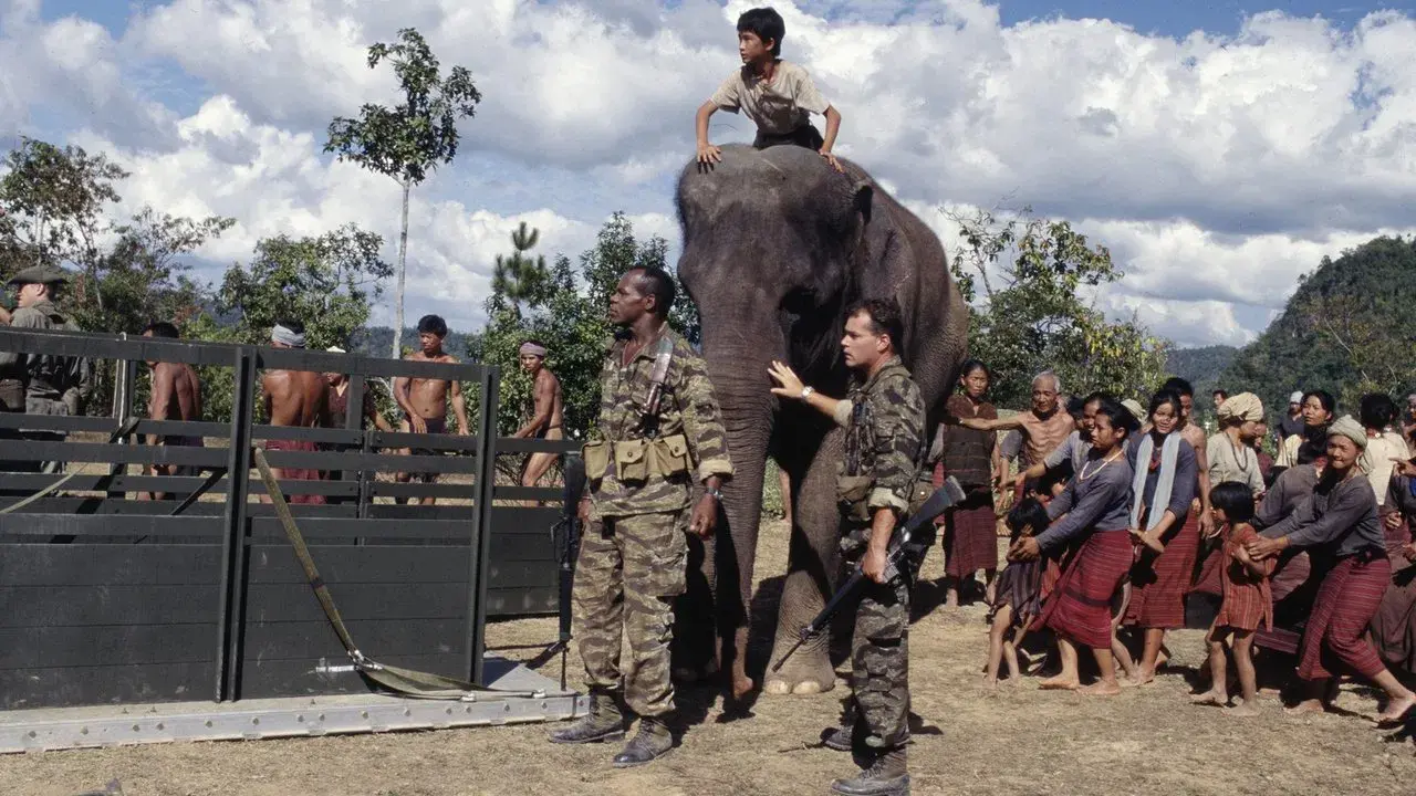 Operación Elefante fondo