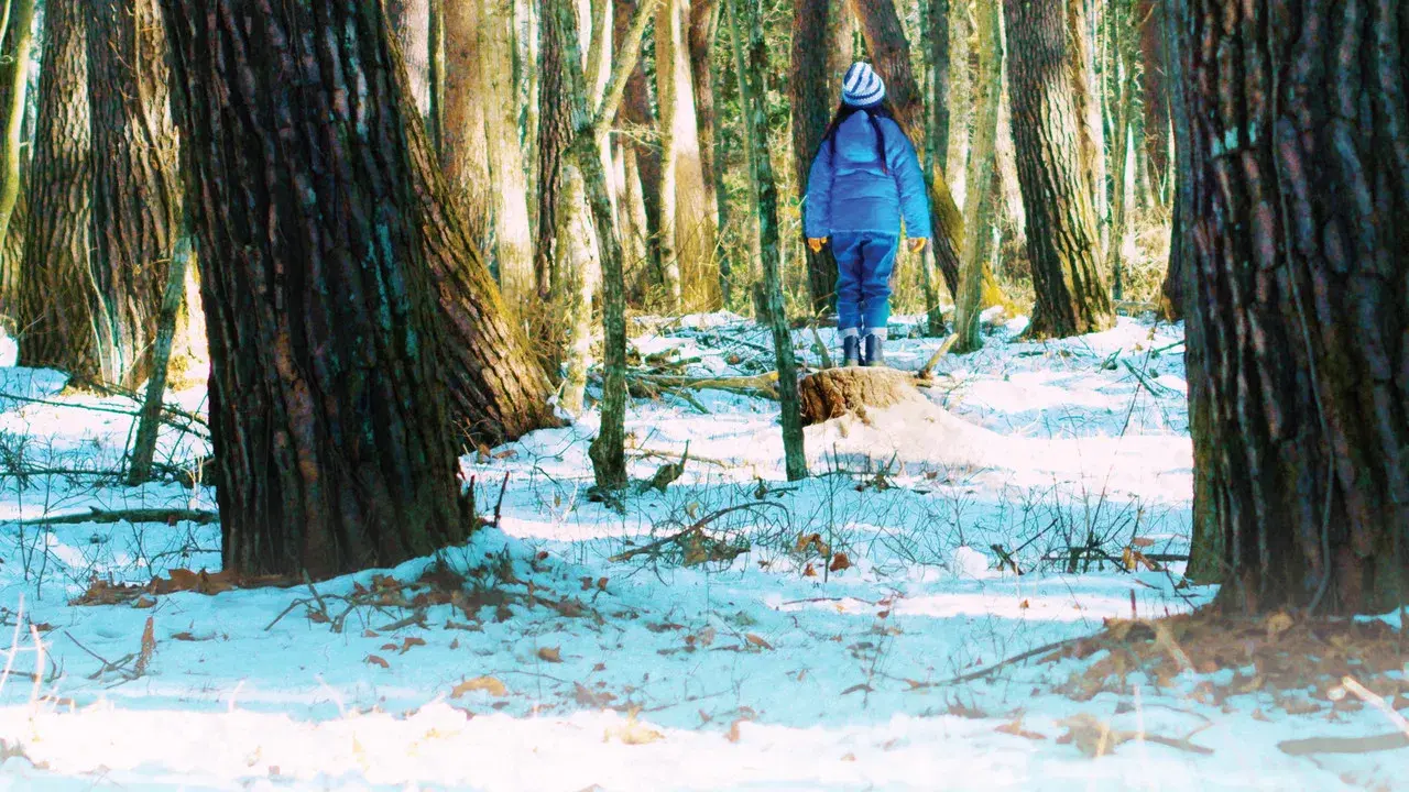 El mal no existe fondo