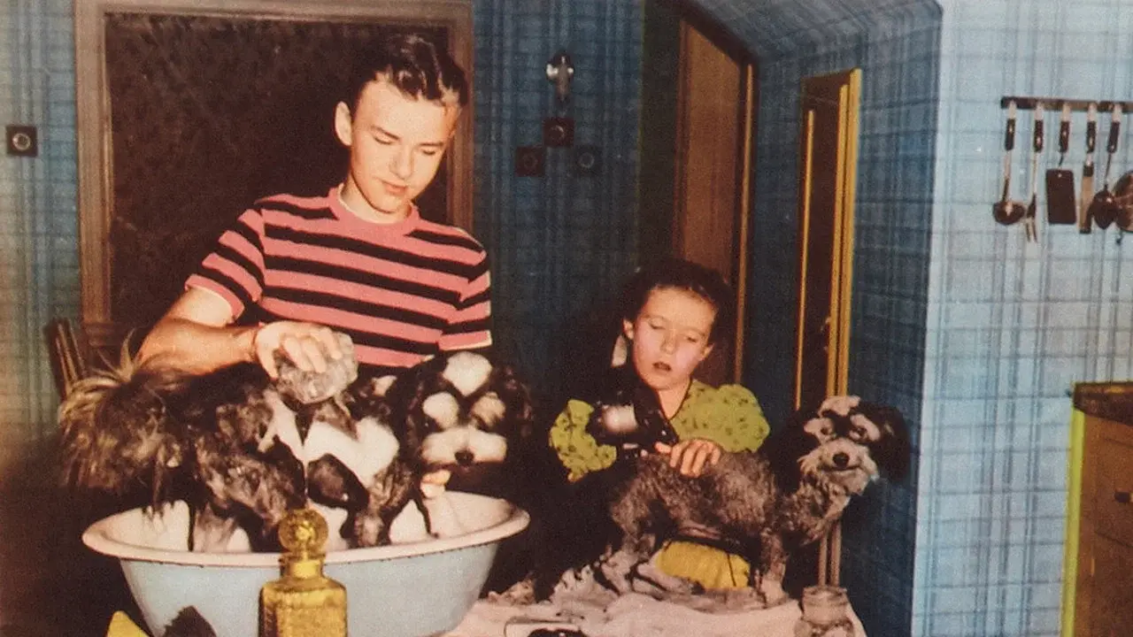 Blondie's Secret fondo