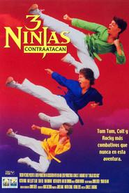 3 ninjas contraatacan