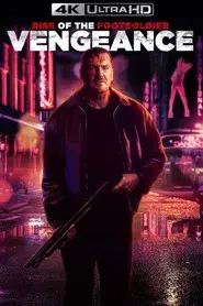 Rise of the Footsoldier: Vengeance