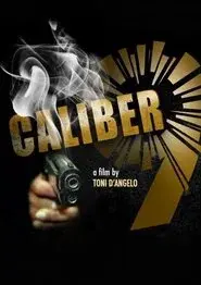Calibre 9