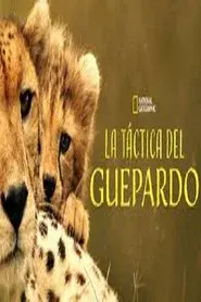 La táctica del guepardo