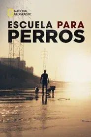 Escuela para perros