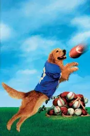 Air Bud: El fichaje de la liga