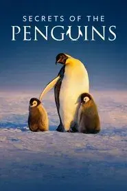 Los secretos de los pingüinos