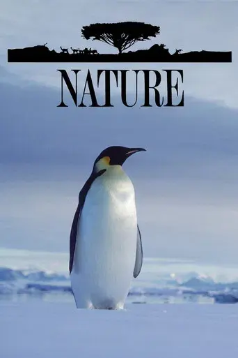 Nature - Poster