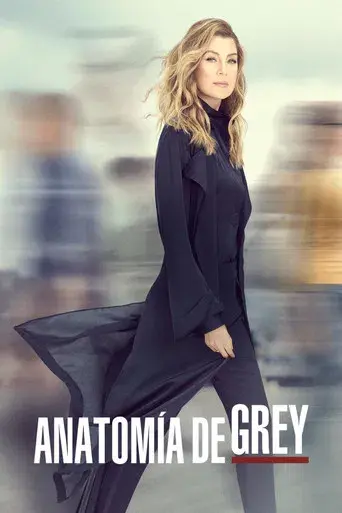 Anatomía de Grey - Poster