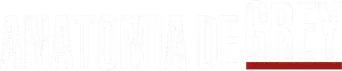 Anatomía de Grey - Logo