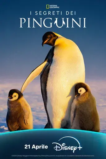 Los secretos de los pingüinos - Poster