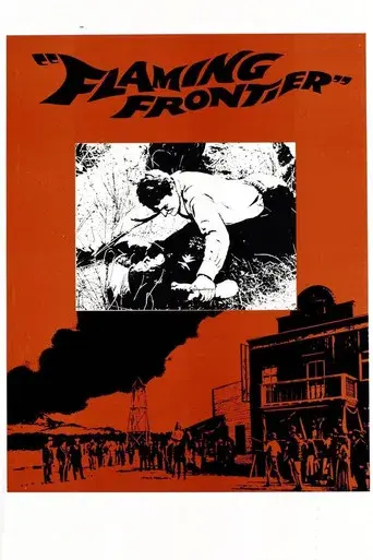 El justiciero de Kansas poster
