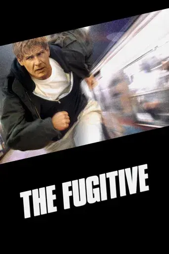 El fugitivo - Poster