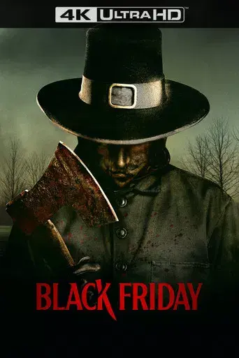 Black Friday - Poster