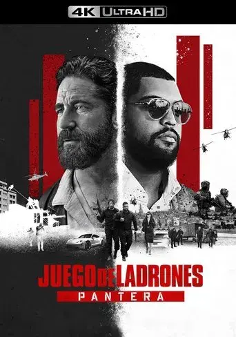 Juego de ladrones 2: Pantera - Poster
