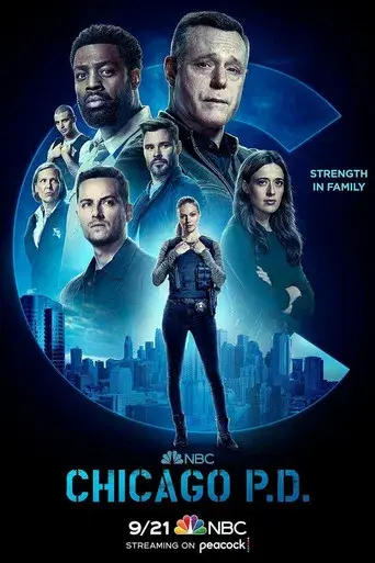 Chicago P.D. - Poster