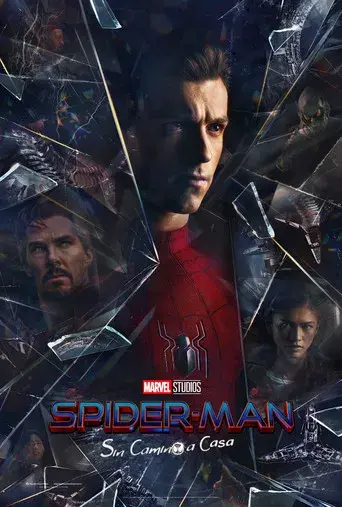 Spider-Man: No Way Home - Poster