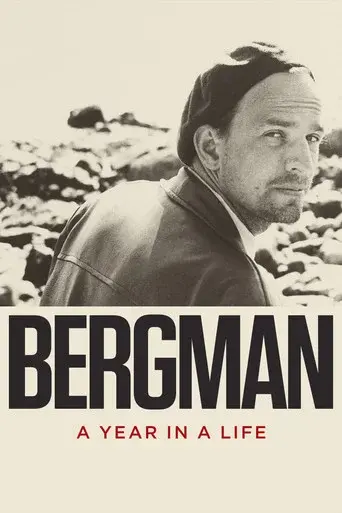 Bergman: su gran año poster