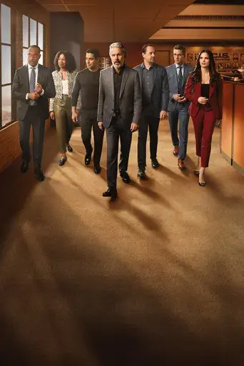 Navy: Investigación criminal - Poster