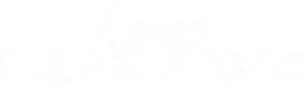 La ley de Las Vegas - Logo