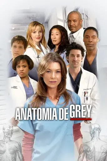 Anatomía de Grey - Poster