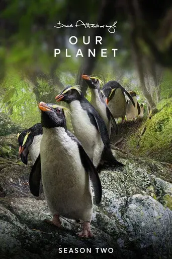 Nuestro planeta II