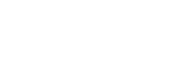 Perfect Couples - Logo