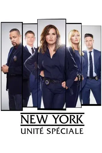 Ley y orden: Unidad de Víctimas Especiales - Poster