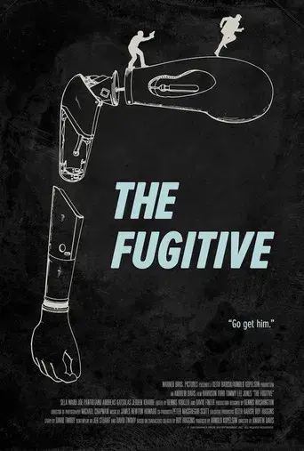 El fugitivo - Poster