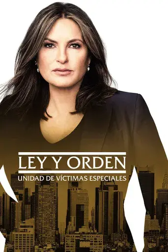 Ley y orden: Unidad de Víctimas Especiales - Poster