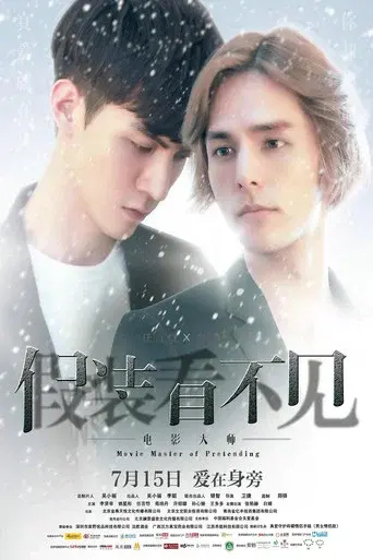 假装看不见之电影大师 poster