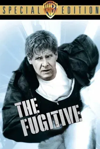 El fugitivo - Poster