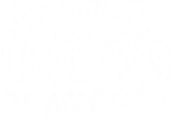 El lado bueno de las cosas - Logo