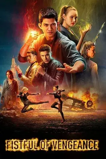 Venganza a golpes poster