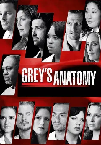 Anatomía de Grey - Poster