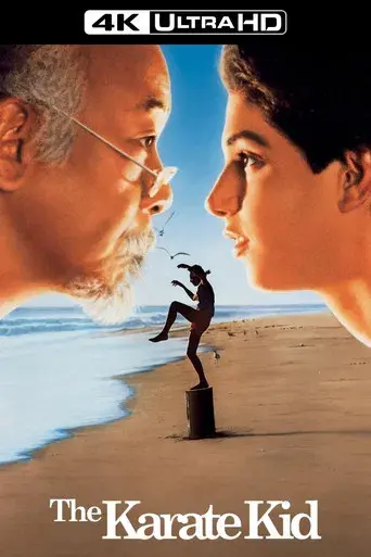 Karate Kid, el momento de la verdad - Poster