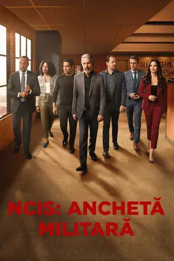 Navy: Investigación criminal - Poster