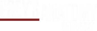 Anatomía de Grey - Logo
