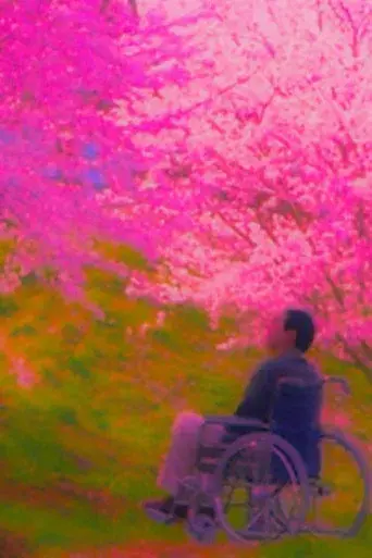 Hana-Bi: Flores de fuego - Poster